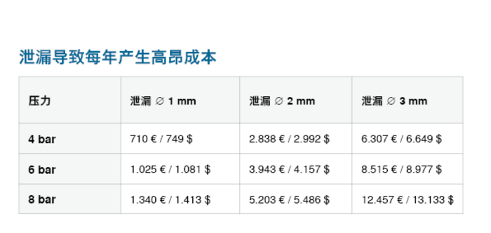 泄漏可能导致每年的成本高达 12,457 欧元。