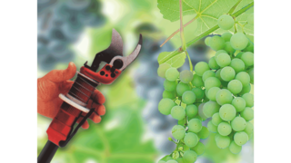 葡萄酒酿造业中的 KAESER 工业往复式压缩机。